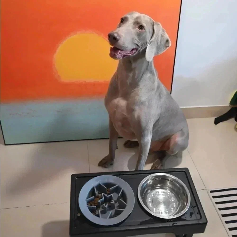 Reversible Dog Slow Feeder Bowl Lick Mat, NWT